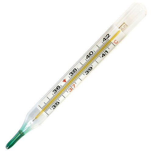 ���� ��������� ����������� ������� � �������, ������ �� 250 ���