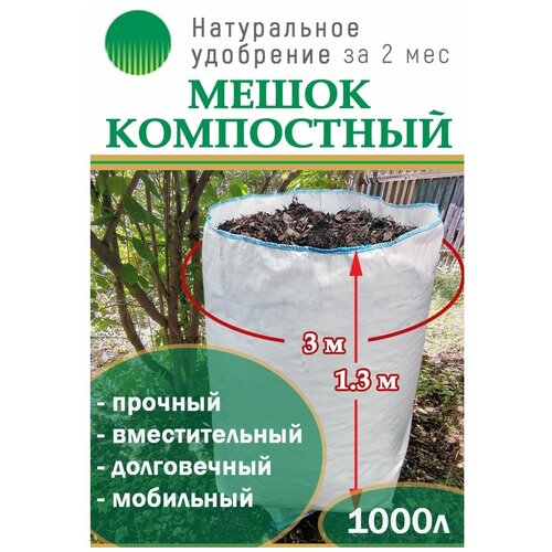 ���� ��������� ������� �� 1000� � ����, ������ �� 900 ���