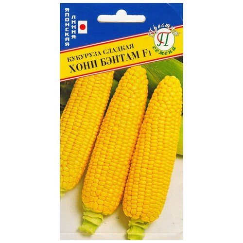 ���� ������ �������� ������� 