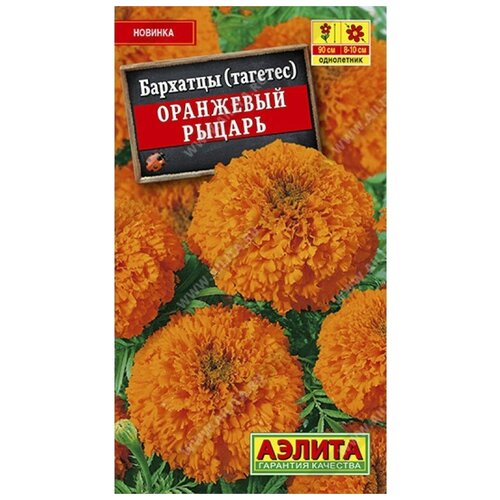 ���� ������. �������� 