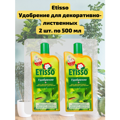 ���� �������� 2 ��. ��������� ������ ��� �����������-���������� �������� 500 ��. Etisso, ������ �� 1751 ���