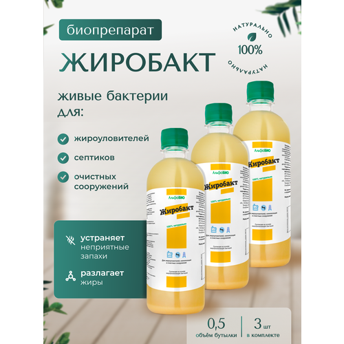 ���� �������� - �������� ��� ��������������, �������� � �������� ����������. 1.5 �., ������ �� 1749 ���