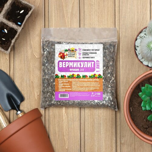 ���� ���������� 