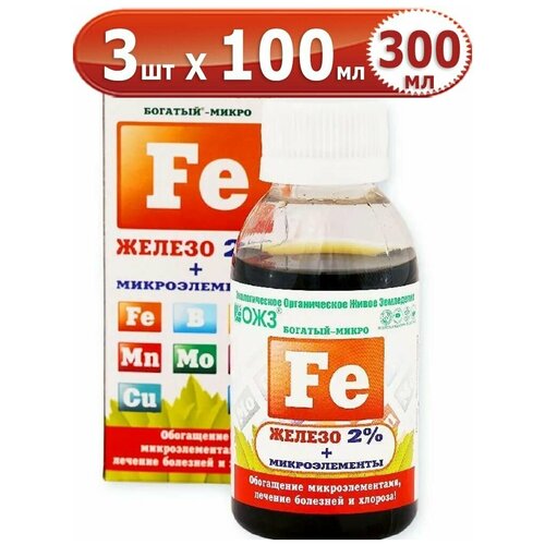 ���� 300�� �������-����� ������ ������������� 100�� � 3�� ��������, ������ �� 643 ���