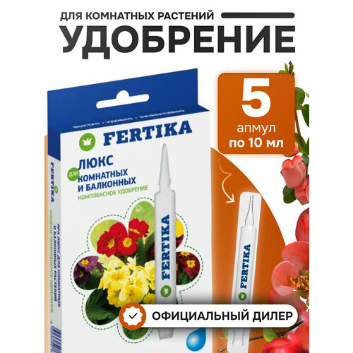 ���� ��������� ������� 