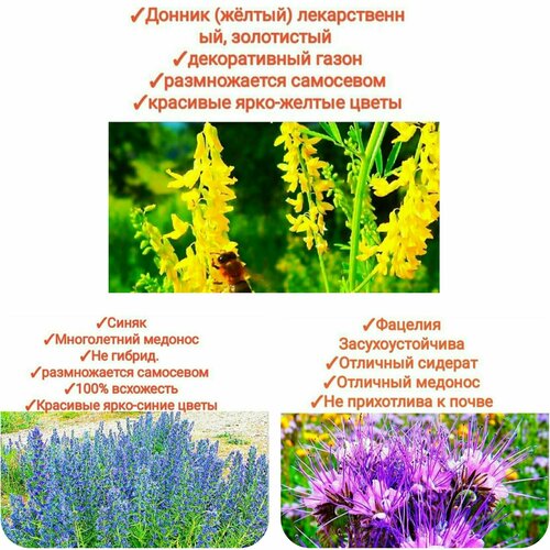 ���� ����� ���������� ����/���������, 150��(������+�������+�����)�������� ������, premium, ������ �� 893 ���