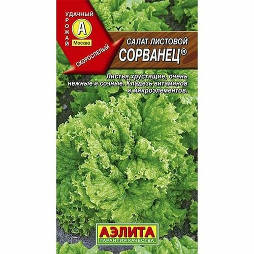 ���� ������ ����� �������� �, �������� (������) 0,5�, ������ �� 41 ���