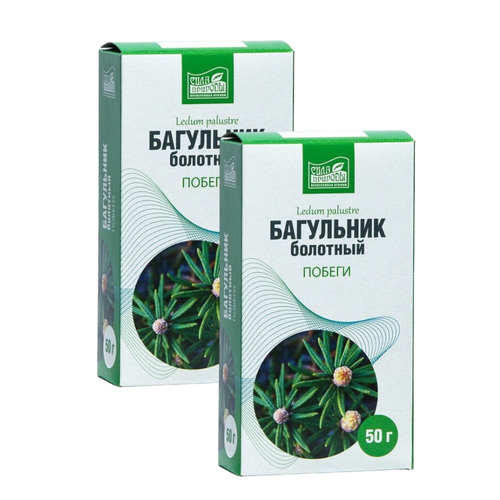 ���� ��������� �������� ������, ���� �������, � ������ 2 �� �� 50 �, ������ �� 280 ���