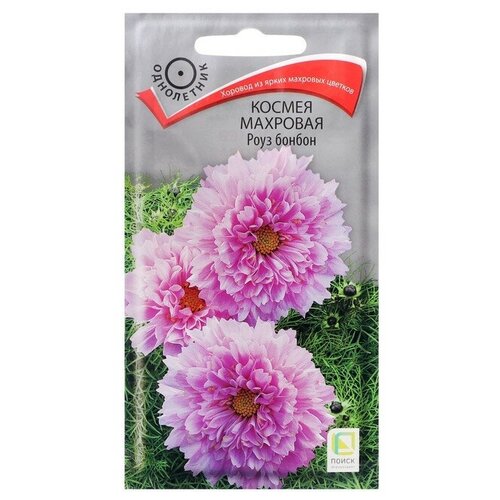 ���� ������ ������ (������) �������� ���� ������ 0.1 ������ ����� �����, ������ �� 90 ���