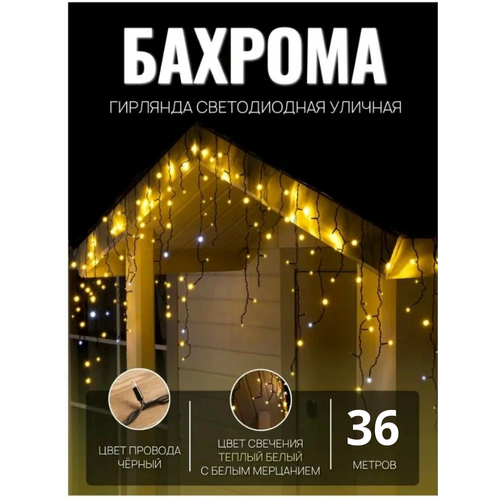 ���� �������� ������� ������� 36� ������ ������ / �������� ������������, ������ ����, ������ �� 2330 ���