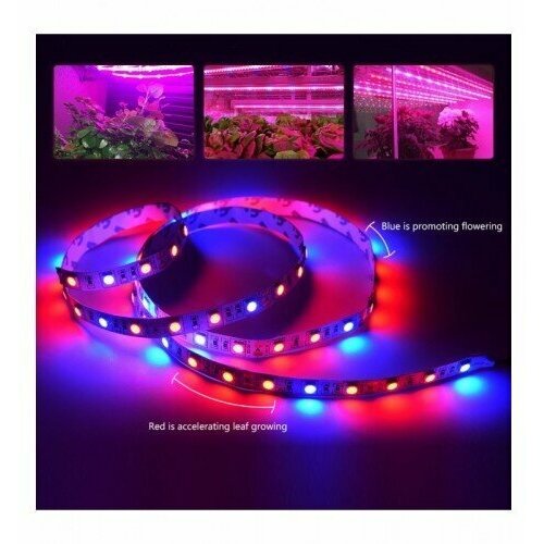 ���� ��������� ��� �������� 3 ������� +1 �����, SMD 5050, 60 ������/����, 12 �, IP20,( 5 ������), ������ �� 645 ���