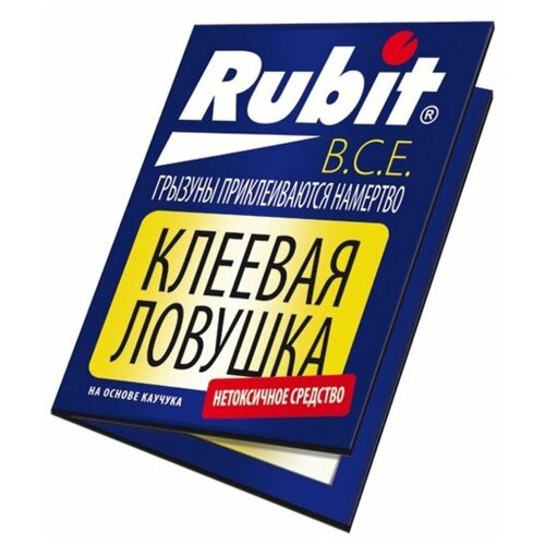 ���� ������� ������� �� ���� � ����� (������) �����, ������ �� 241 ���