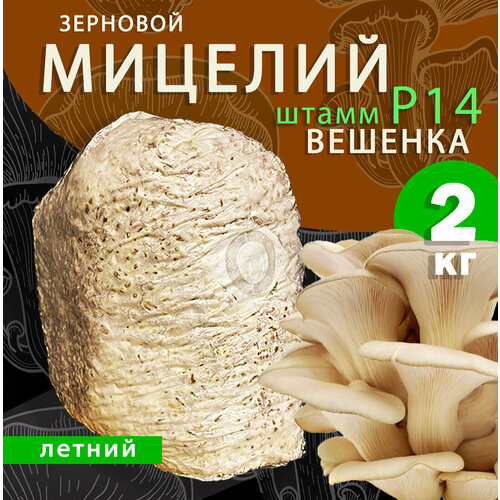    ,   ( -14) - 2 ,   1300 