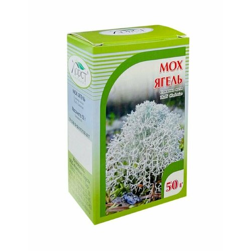 ���� ����� ��� (50 �), ������ �� 285 ���