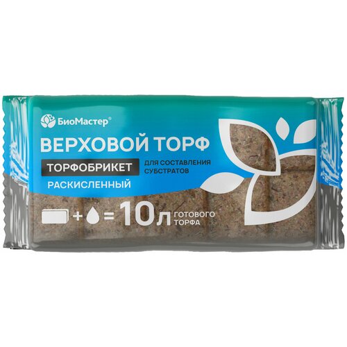 ���� ����������� �������� ���� ������������, 10� 