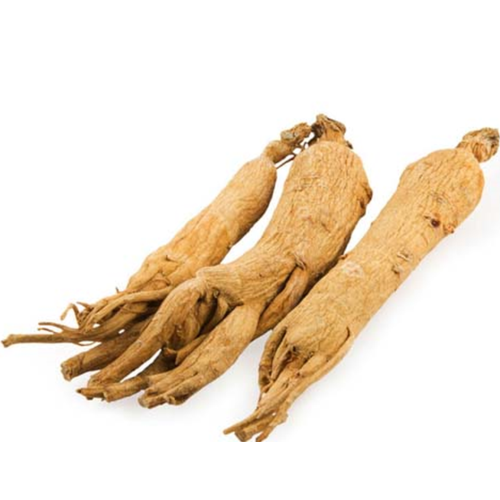 ���� �������� ������ 25 �, ������ �� 767 ���