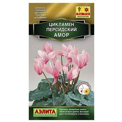 ���� ������. �������� 