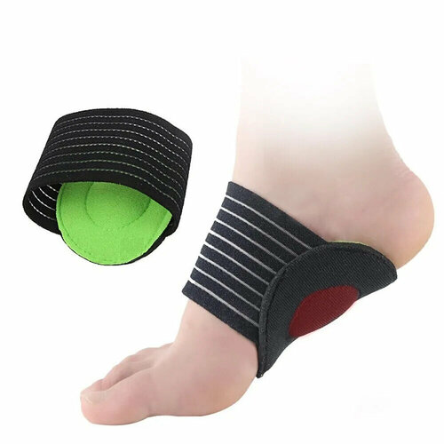 ���� ������� ��������������. ����������� �� ������������. ���������� ��� ����� �� ������������ �������������. ��������� ��� ����� ������������� �������. Gym, ������ �� 599 ���