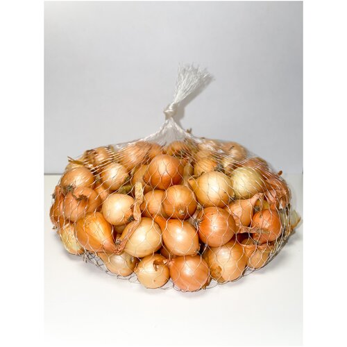 ���� ����� ���-����� ����������� ����� 10/21 (0,5 ��), ������ �� 298 ���