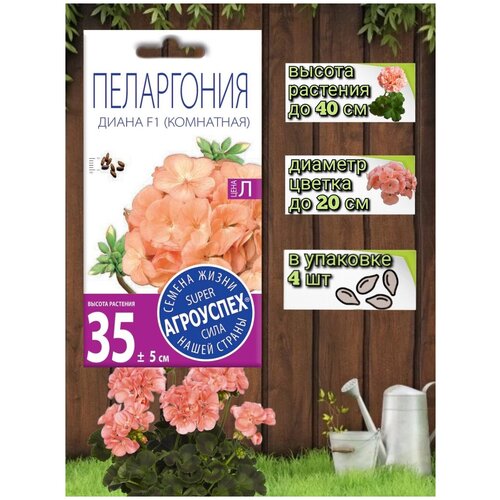 ���� ������ ��������� ������ ���������� ����� F1, ������ ��������� 4��, ������ �� 388 ���