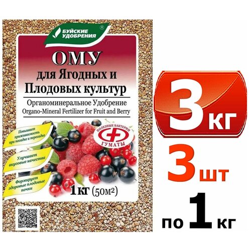 ���� 3�� ���-��� ������� � �������� ������� 1�� -3�� ����������� ����������������� ���������, ������ �� 699 ���