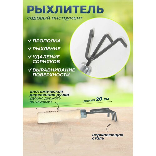 ���� ��������� ����� ���������, ������� ���������� � ���������� ������, ����� 20 ��, ������ �� 49 ���