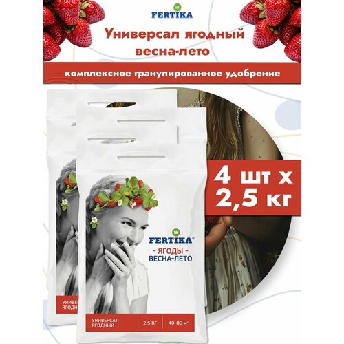 ���� ��������� ������� ��������� ������� �����-����, 4 �� �� 2,5 ��, ������ �� 3405 ���