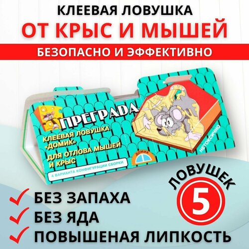 ���� �������� ������� ������� �� ����� � ���� 5 ��, ������ �� 365 ���