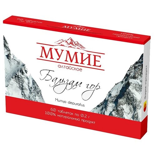 ���� ����� ��������� 