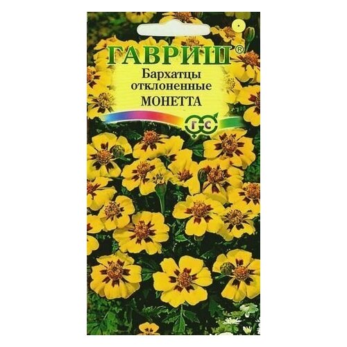 ���� ������ �������� ����������� (�������) �������, 0,3�, ������, ������ �� 42 ���