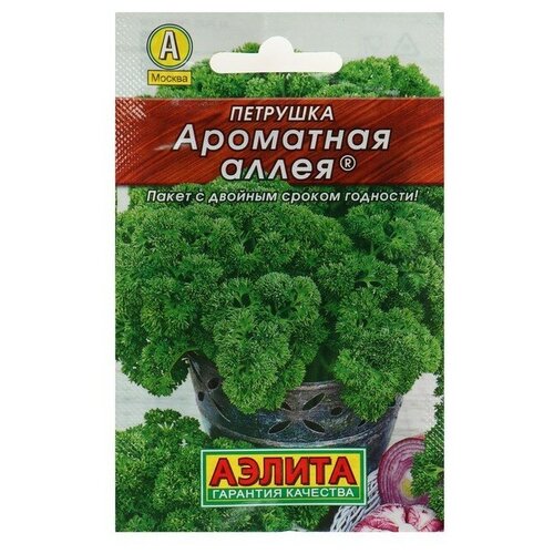 ���� ������ �������� �������� 