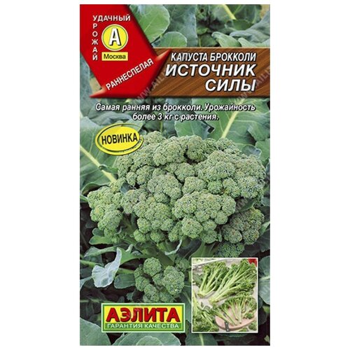 ���� ������. ������� �������� 