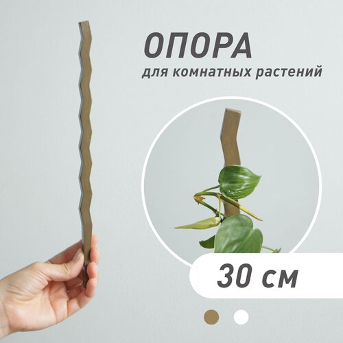 ���� ����� ��� �������� 