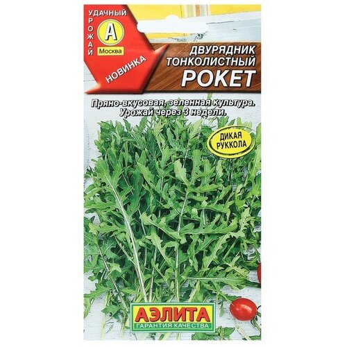 ���� ������ ��������� ������������ 