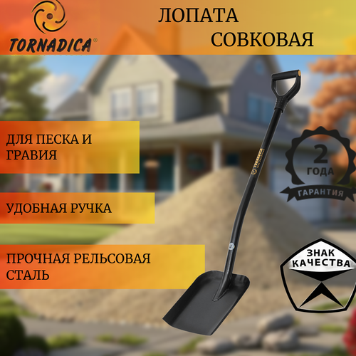 ���� ������ �������� � �������� ��������� / ������� ������ �������� �� ��������� ����� �������, ������ �� 2295 ���