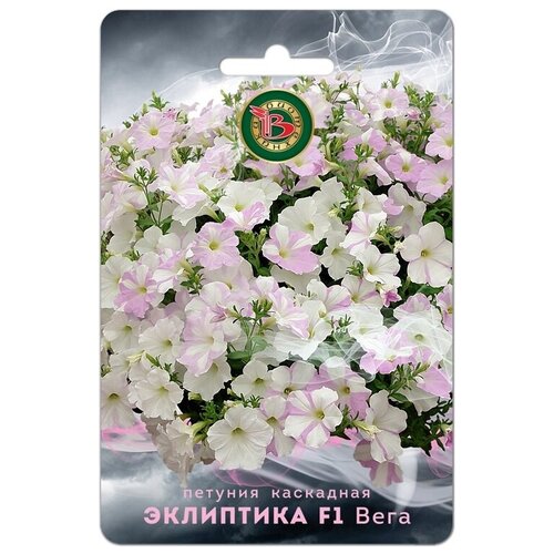 ���� ������ ������� ��������� 