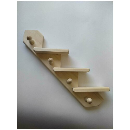 ���� �����-������� ������ ����� 