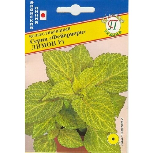     F1 10    (1 ),   249 