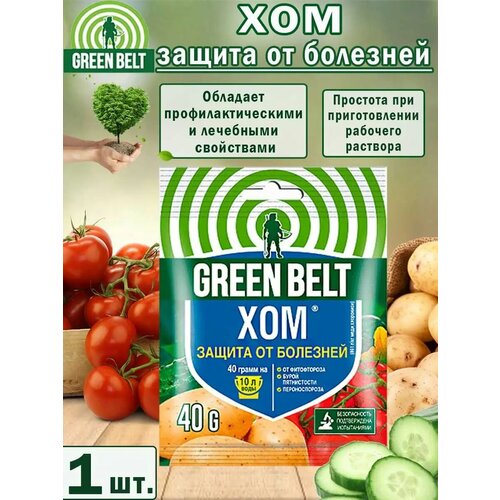     Green Belt 