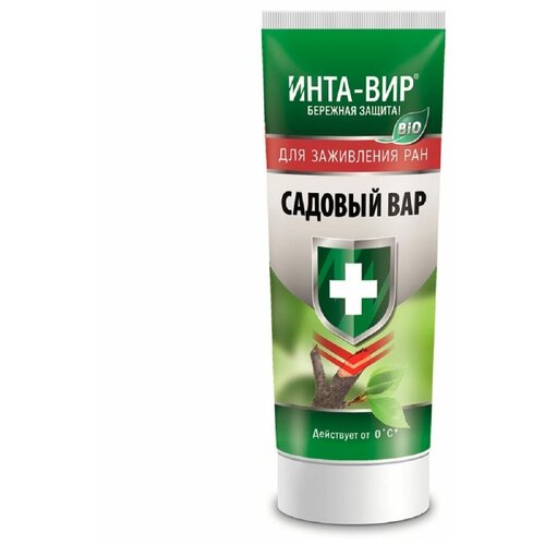 ���� ����-��� ��� �������, 100 ��, 100 �, ������ �� 791 ���