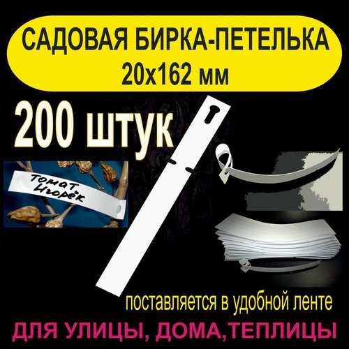 ���� ������� �����-�������� 20x162 ��. 200 ����, ������ �� 660 ���