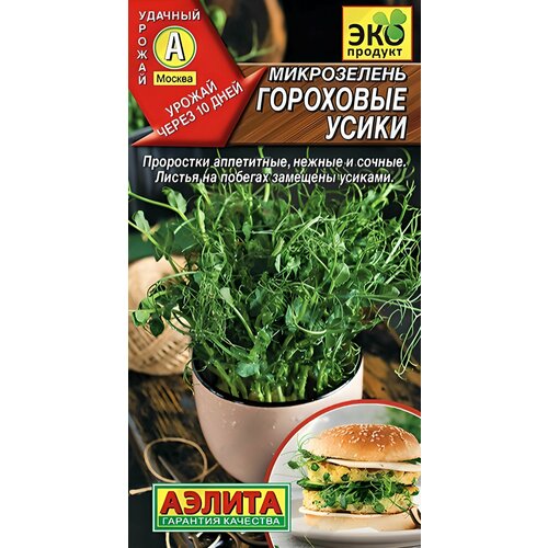 ���� ������ ����������� ����� ��������� ����� *10�, ������ �� 440 ���