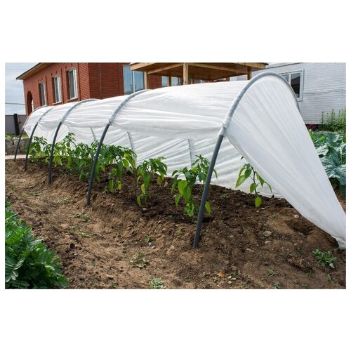 ���� ������ 