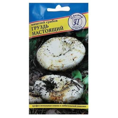 ���� ������� ������ ������ ��������� 50 ��, ������ �� 256 ���