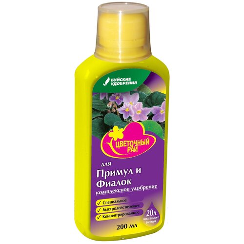 ���� ��� 