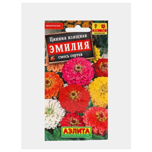 ���� ������. ������ ������� 