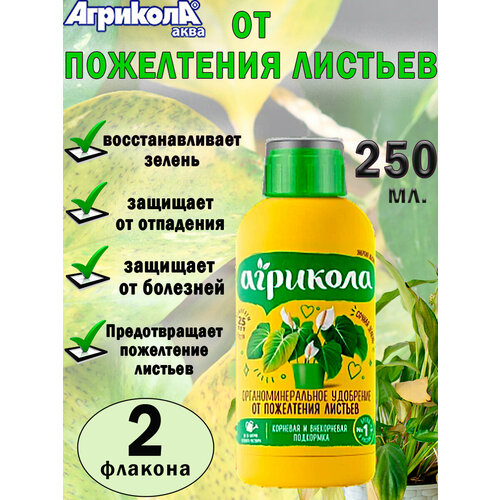 ���� ��������� �������� ���� �� ���������� �������, 250 ��, 2 �������, ������ �� 675 ���