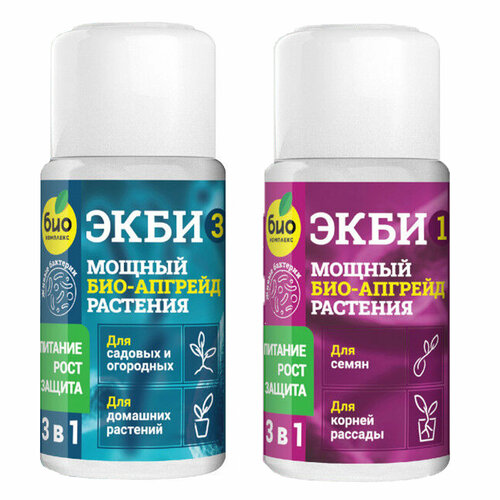 ���� ���-�������� 