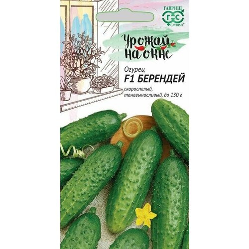 ���� ������ ������ �������� F1, 10��, ������, ������ �� ����, ������ �� 72 ���