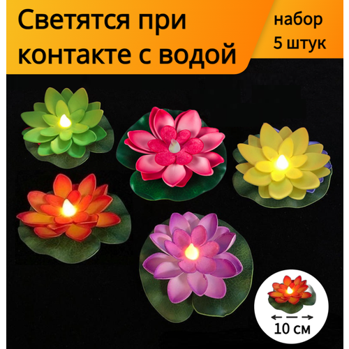      5 ,     ,  10 ,  , ,   621 